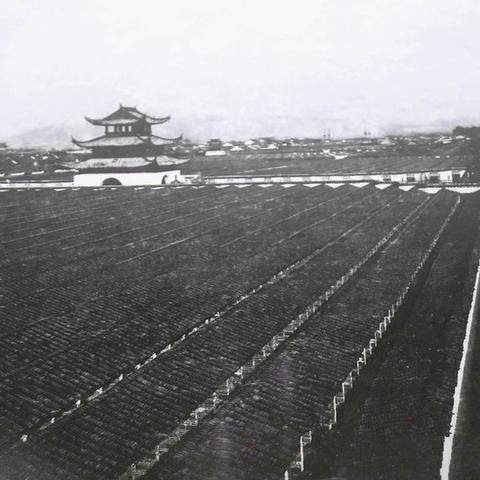 南京旅游全攻略，古都绝佳路线探索之旅