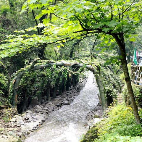 庐山出游必看，天气预报助你畅游庐山，百度为你揭秘行程秘籍