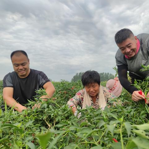 薄弱村振兴新希望，新闻头条下的蜕变之路