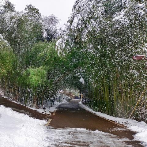 洛阳至栾川深度游攻略，畅游美景，尽享风情