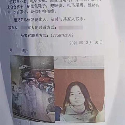 海南涡阳最新头条新闻及热点动态解析