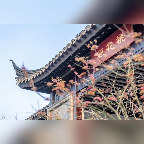 西藏黄昏旅游攻略，探索高原暮色之美，领略独特风情