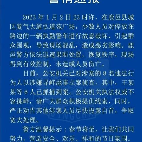 河南爆竹公司排名揭秘，哪家公司独占鳌头？