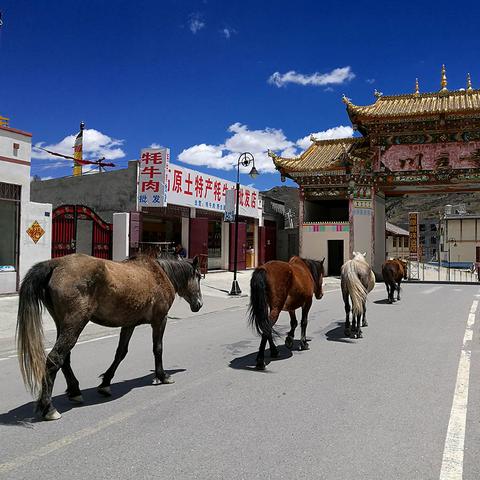 最新汶川自驾旅游攻略，探寻自然魅力，畅游汶川美景