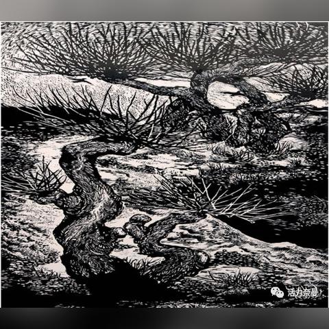 探索音乐梦想的新途径，最新愿望音乐下载mp3，实现你的音乐博客梦想