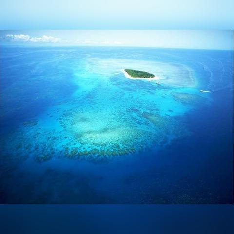 海岛探索秘籍，最新精准地图攻略，畅游未知海域