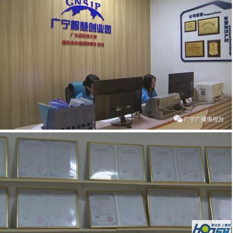 广宁今日最新新闻报道速递