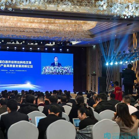 泸州冬季旅游攻略，探秘酒城魅力之旅