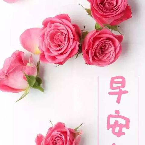 励志语录助您开启追寻内心阳光的旅程