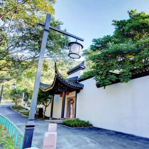 浙江冬季旅游攻略揭秘，探索冬日独特魅力，领略浙江风光之美