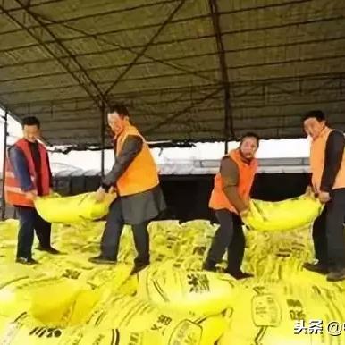 最新解读，今日物流放假消息及其影响分析
