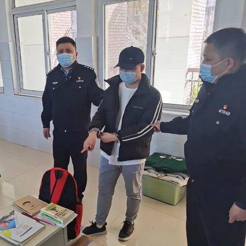 德州夏津偷盗事件最新进展深度解析