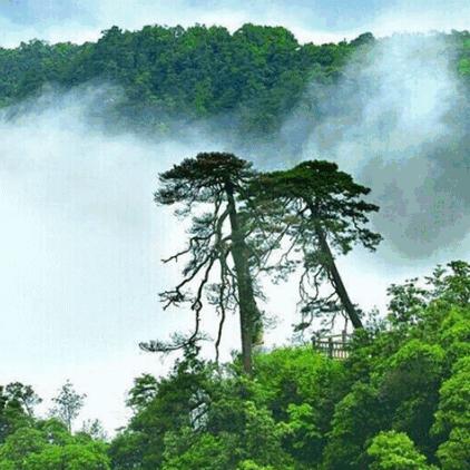 独家揭秘，探索自然秘境，2017黑山谷旅游攻略全解析
