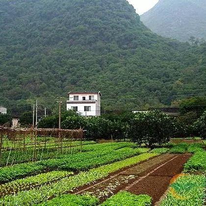 和县自来水公司，品质、服务与创新实力解析，排名背后的故事