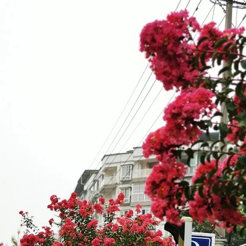 广安旅游攻略大揭秘，最新旅行指南带你畅游胜地！