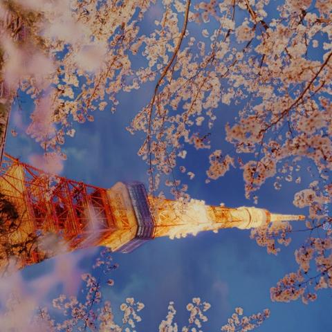 武汉最新疫情更新报道，今日动态速递