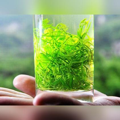 绞股蓝，全面解析其功效及应用价值