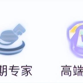 四龙九五阵容攻略解析，助你轻松登顶王者之巅！
