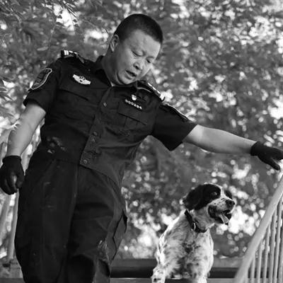 铁路警犬管理办法最新版，铁路运输安全的守护者