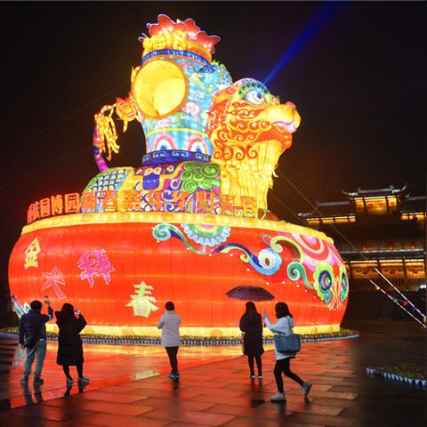 揭秘霓虹背后的故事，探索神秘面纱下的含义，百度带你一探究竟！