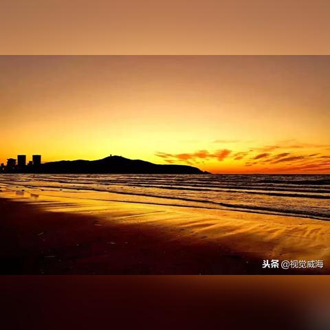 威海手机号背后的故事揭秘
