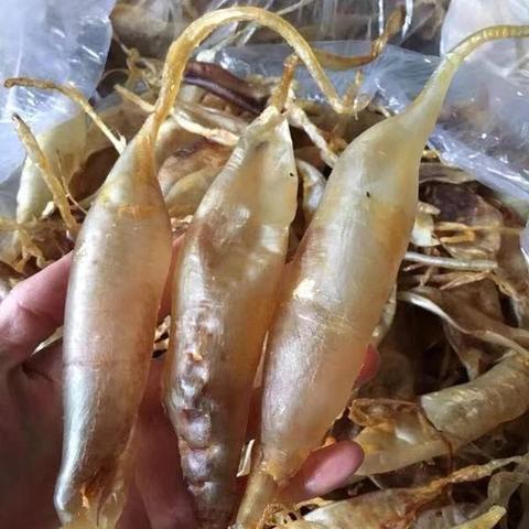 斗湖鱼胶，探寻百度美食秘境的独家秘密