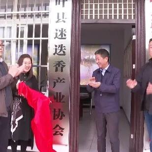 叶县龙泉乡新闻头条网，聚焦乡村发展，实时传递最新资讯动态
