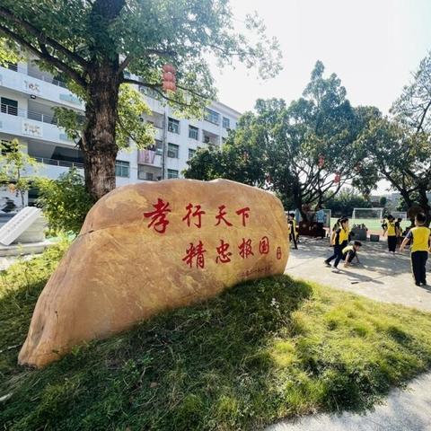 公路改扩建设计公司排名揭秘，行业领军者一览