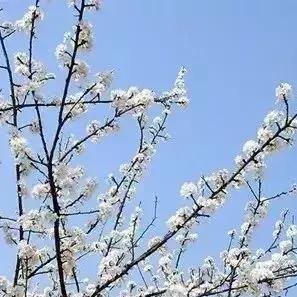 宁德独家旅游攻略揭秘，风情独特，魅力无限！