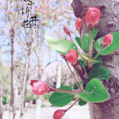 宁津周边旅游攻略，揭秘未知美景，畅游无限风光！