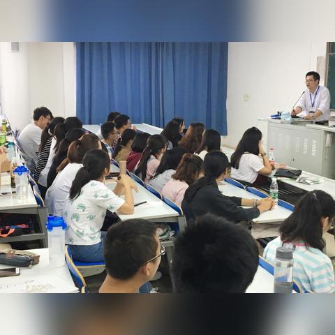 立信科技最新行情揭秘，探索科技前沿动态与未来前景