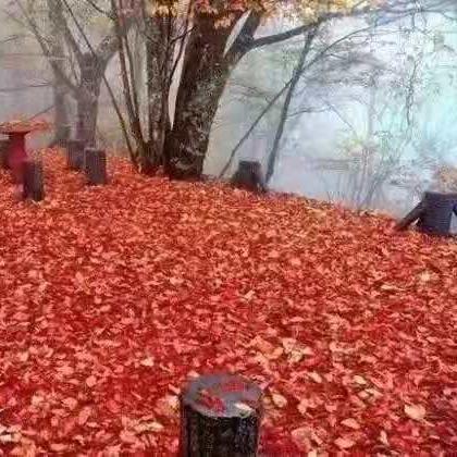 揭秘陕西安康市，深度探寻神秘之地