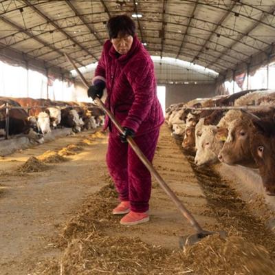 全球十大肉制品榜单，口感、品质与风味的美食狂欢排行揭晓！