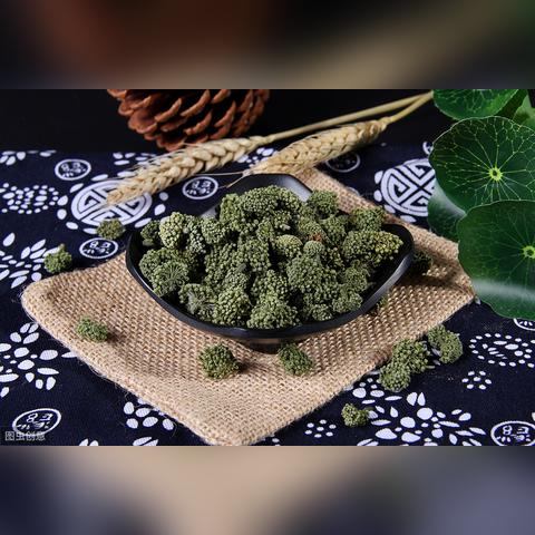 揭秘三七花的功效与用法，百度带你探索三七花的奥秘！