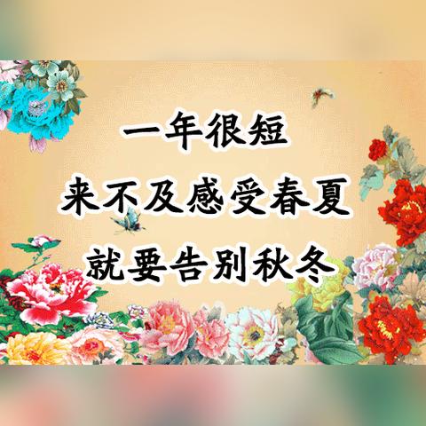 平安夜之歌简谱分享，轻松查找领略美妙旋律的魅力