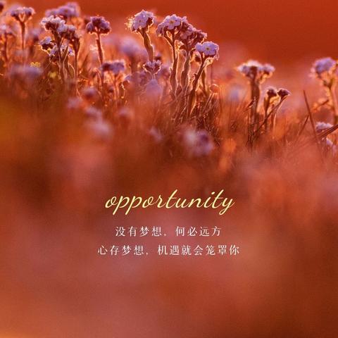 简短励志语录，激发内心力量，指引成功之路