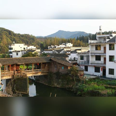 青花之旅全攻略，揭秘美丽神秘的青花世界！