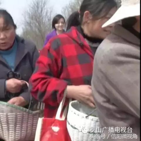 茶业公司薪酬大揭秘，行业薪水排名与薪酬奥秘探索