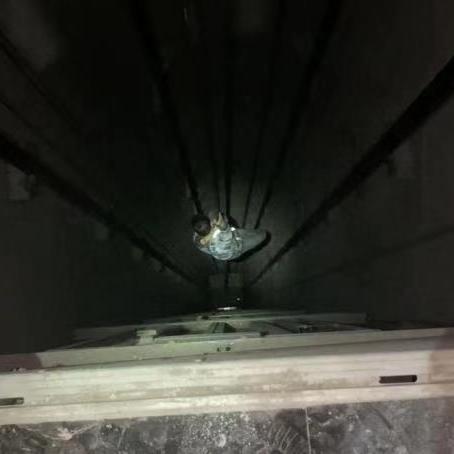 六盘水电梯公司排名榜揭晓，优质电梯服务引领者榜单大揭秘！