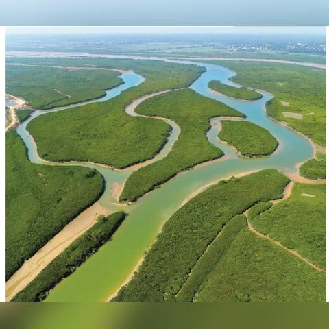 湛江穷游秘籍，探秘海滨美景，省钱旅行攻略！