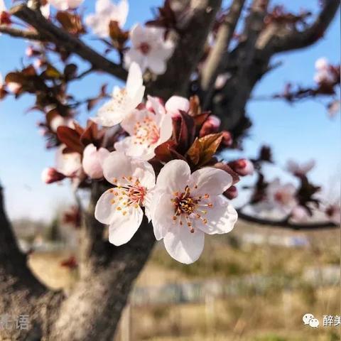 兴平市河提路游玩新探，最新路线图指南
