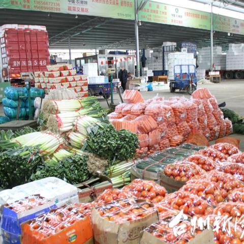 梨城市最新蔬菜价格查询报告，最新菜价一览无余