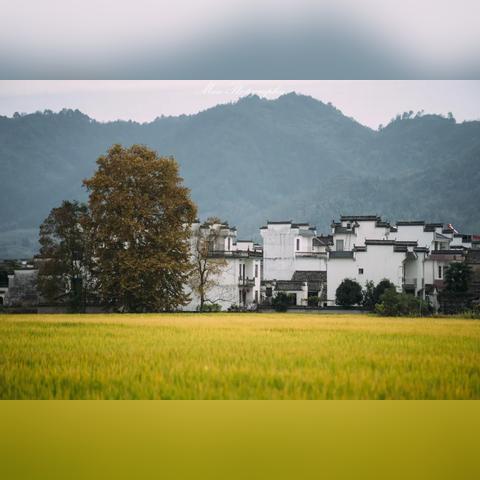 北京喀纳斯神秘之旅攻略探索，必看的旅游指南！