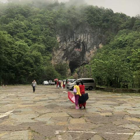 四川神农架深度游攻略，揭秘自然之美的神秘探险之旅