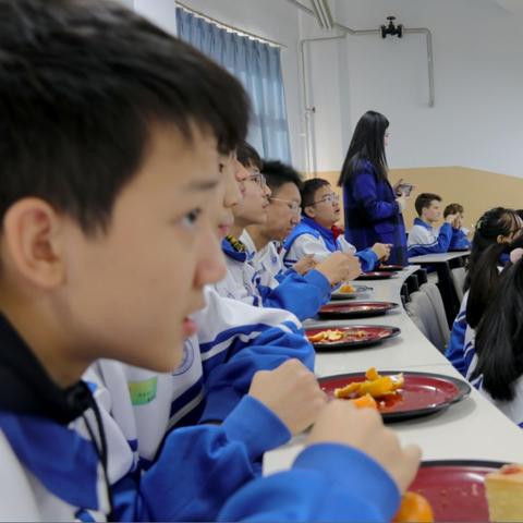 北京能否养火鸡？最新消息与探讨深度解析