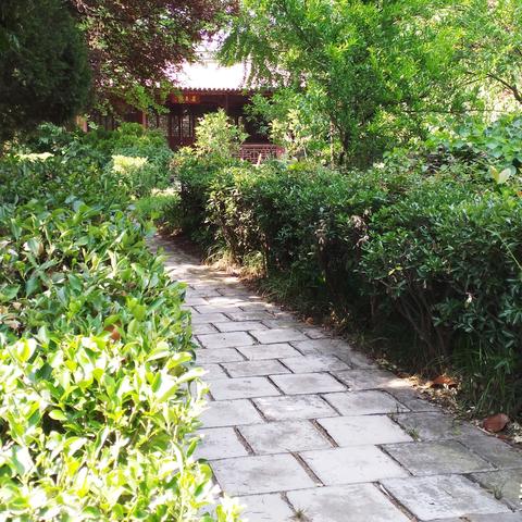 淮南清凉避暑胜地探寻，新闻头条带你领略城市避暑好去处