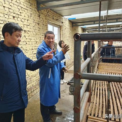 全球产业产值大揭秘，探寻世界经济的核心动力引擎