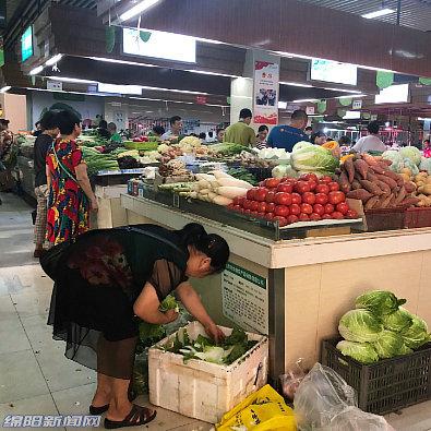 绵阳菜价最新动态，市场繁荣变迁下的今日行情探索