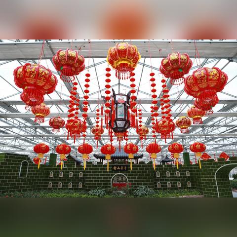 晋城旅行秘籍，独家旅游攻略，畅游必备指南！