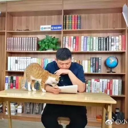 揭秘财富增长秘诀，最新财商视频助你开启财富之门